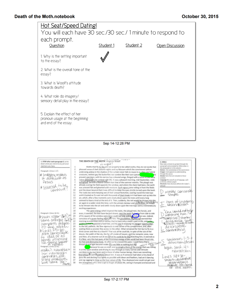 图片[2]-AP Language Woolf & Petrunkevitch Rhetorical Analysis Smart Notebook File