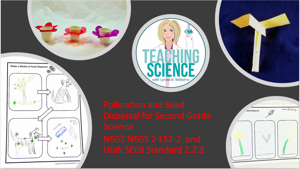 Pollination Activity and Seed Dispersal: Develop a Model for Dispersing Seeds